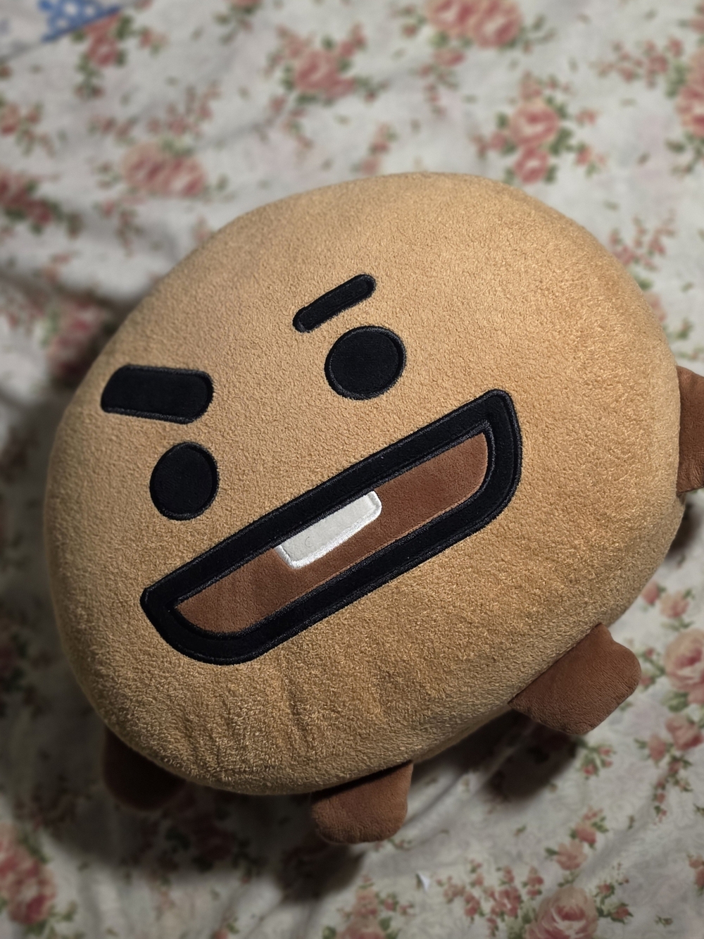 SHOOKy Plush Decorative Pillow - Tan